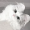 smalimg