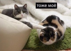 https://upforme.ru/uploads/001b/ed/70/11/t206062.jpg