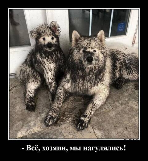 https://upforme.ru/uploads/001b/ed/70/31/t385500.jpg