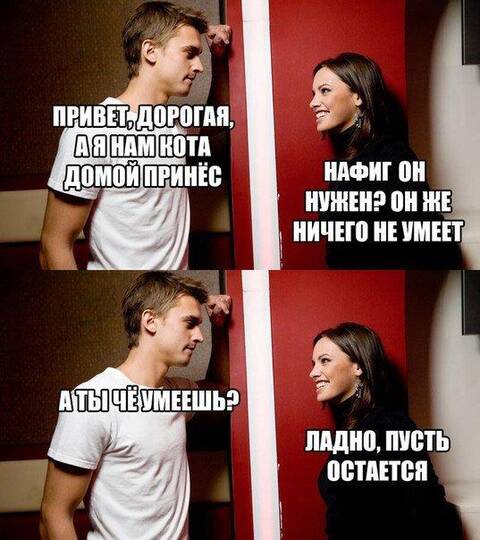https://upforme.ru/uploads/001b/ed/70/31/t837904.jpg