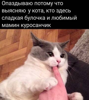 https://upforme.ru/uploads/001b/ed/70/6/t211341.jpg