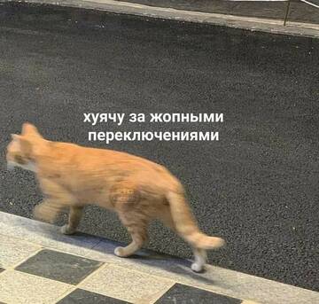 https://upforme.ru/uploads/001b/ed/70/6/t353785.jpg
