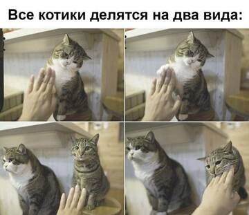 https://upforme.ru/uploads/001b/ed/70/6/t423513.jpg