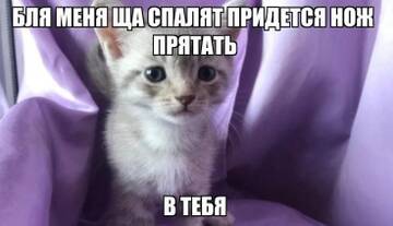 https://upforme.ru/uploads/001b/ed/70/6/t470358.jpg