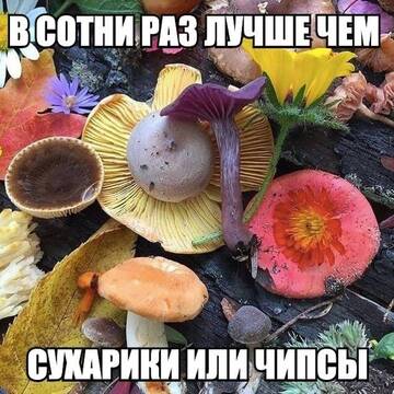 https://upforme.ru/uploads/001b/ed/70/6/t573494.jpg