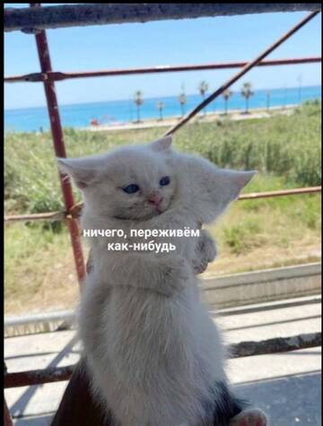 https://upforme.ru/uploads/001b/ed/70/6/t606896.jpg