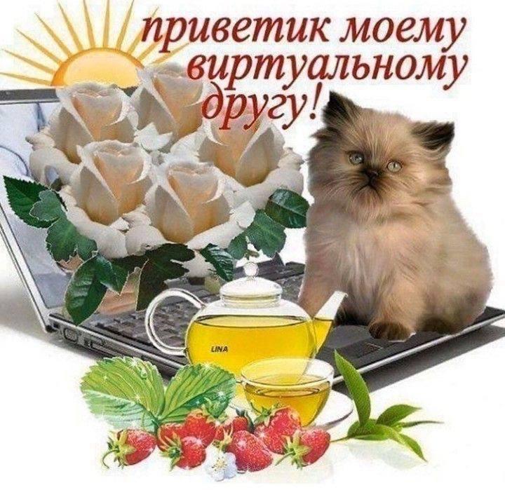 https://upforme.ru/uploads/001b/ee/01/10/57581.jpg