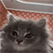https://upforme.ru/uploads/001b/f0/74/3/110815.gif