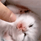 https://upforme.ru/uploads/001b/f0/74/3/244290.gif