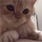 https://upforme.ru/uploads/001b/f0/74/3/256797.gif