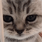 https://upforme.ru/uploads/001b/f0/74/3/260122.gif