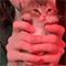 https://upforme.ru/uploads/001b/f0/74/3/277160.gif