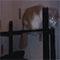 https://upforme.ru/uploads/001b/f0/74/3/355649.gif