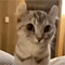 https://upforme.ru/uploads/001b/f0/74/3/441573.gif