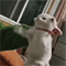 https://upforme.ru/uploads/001b/f0/74/3/44727.gif
