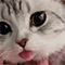 https://upforme.ru/uploads/001b/f0/74/3/518742.gif