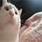 https://upforme.ru/uploads/001b/f0/74/3/532735.gif