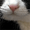 https://upforme.ru/uploads/001b/f0/74/3/615201.gif