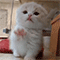 https://upforme.ru/uploads/001b/f0/74/3/66515.gif