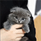 https://upforme.ru/uploads/001b/f0/74/3/684305.gif