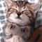 https://upforme.ru/uploads/001b/f0/74/3/721102.gif
