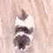 https://upforme.ru/uploads/001b/f0/74/3/743322.gif