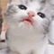 https://upforme.ru/uploads/001b/f0/74/3/752372.gif
