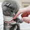 https://upforme.ru/uploads/001b/f0/74/3/853718.gif
