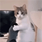 https://upforme.ru/uploads/001b/f0/74/3/891140.gif