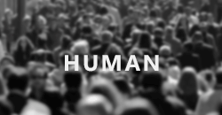 https://upforme.ru/uploads/001b/f5/7b/2/483653.gif