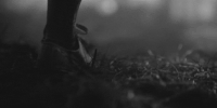 https://upforme.ru/uploads/001b/f6/17/13/538116.gif