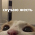 https://upforme.ru/uploads/001b/f6/59/7/241423.png