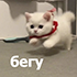 https://upforme.ru/uploads/001b/f6/59/7/281580.png