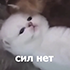 https://upforme.ru/uploads/001b/f6/59/7/611859.png