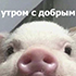 https://upforme.ru/uploads/001b/f6/59/7/903663.png