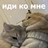 https://upforme.ru/uploads/001b/f6/59/7/910879.png
