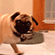 https://upforme.ru/uploads/001b/f7/65/3/112852.gif