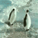 https://upforme.ru/uploads/001b/f7/65/3/795062.gif
