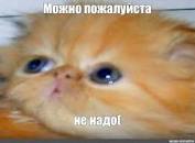 https://upforme.ru/uploads/001b/f8/8d/67/91649.jpg
