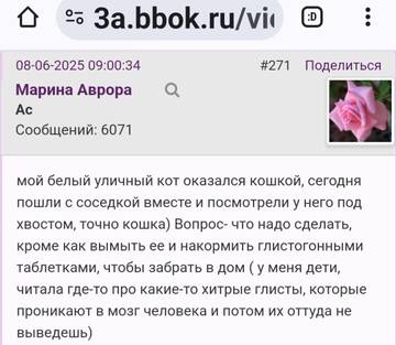 https://upforme.ru/uploads/001b/f9/23/2/t200075.jpg