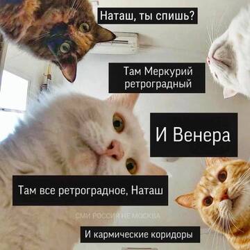 https://upforme.ru/uploads/001b/f9/23/2/t27614.jpg