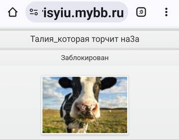 https://upforme.ru/uploads/001b/f9/23/2/t668839.jpg