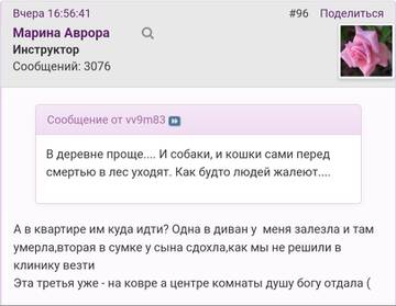 https://upforme.ru/uploads/001b/f9/23/2/t717738.jpg