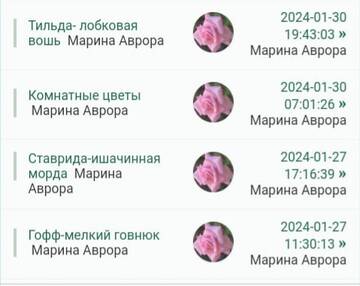 https://upforme.ru/uploads/001b/f9/23/2/t840721.jpg