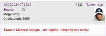 https://upforme.ru/uploads/001b/f9/23/2/t931702.jpg