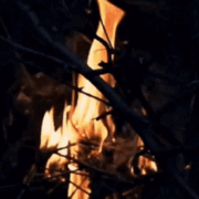 https://upforme.ru/uploads/001b/fb/40/16/75330.gif