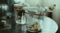 https://upforme.ru/uploads/001b/fb/40/5/594973.gif