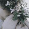 https://upforme.ru/uploads/001b/fb/40/5/923331.gif