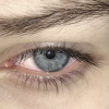 https://upforme.ru/uploads/001b/fc/9b/2/532164.png