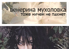 https://upforme.ru/uploads/001b/fd/26/2/156602.png
